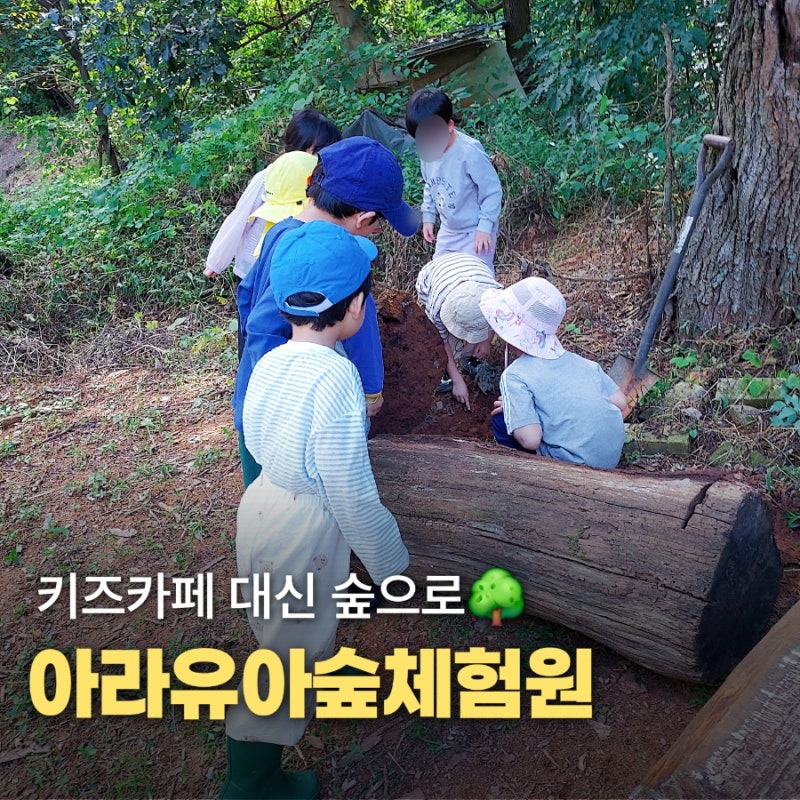 인천 아이랑 가볼만한 곳, 아라유아숲체험원 6세 숲체험 후기