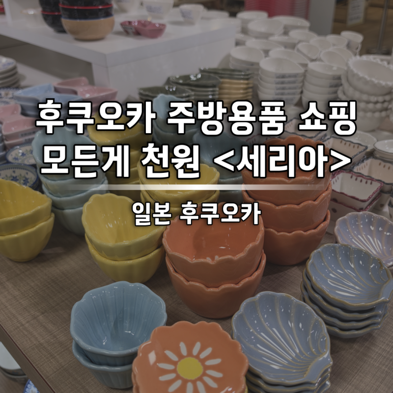 후쿠오카 미나 텐진 주방용품 그릇 쇼핑 정보 추천템