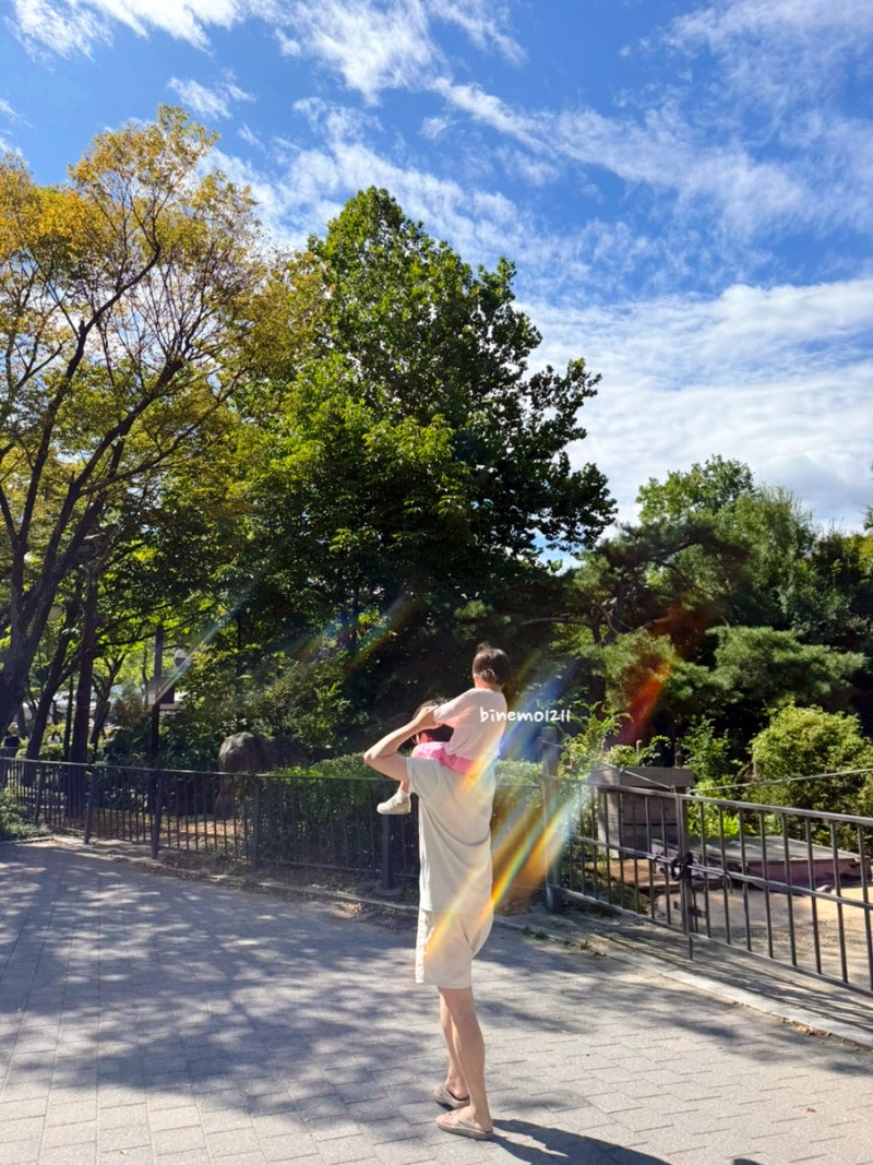 9월 서울대공원 동물원 다녀온 후기｜주차장·입장료·코끼리열차·식당, 3살 아기랑 더워요