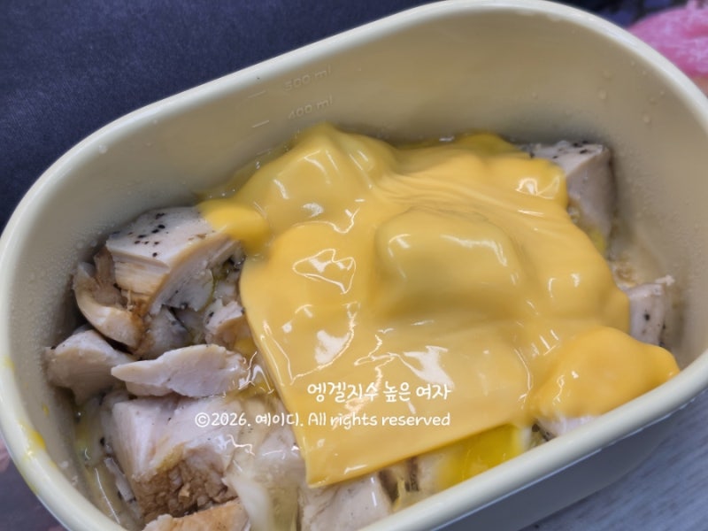 스위치온 다이어트 3주 16일차 l 식단 허용식품 후기, 인바디 체지방 -3.3kg 근육 +1.3kg