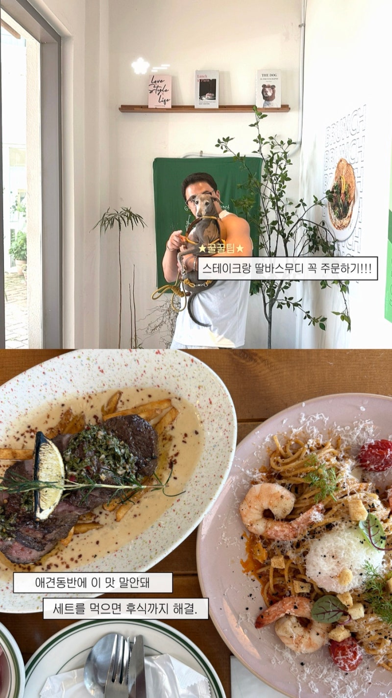 송정애견동반식당 거루캥테이블[송정해수욕장맛집]