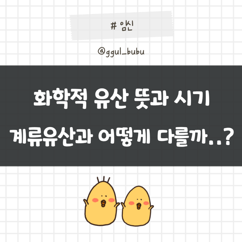 화학적 유산 뜻과 시기, 계류유산과 어떻게 다를까?
