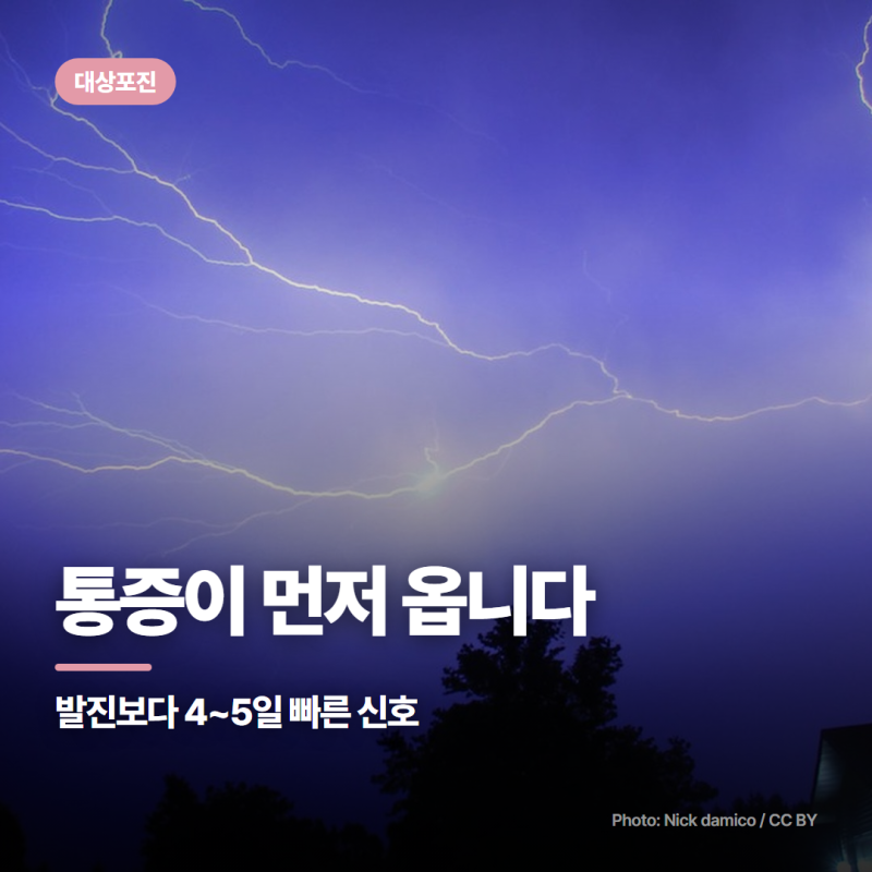 대상포진 증상 순서 :: 발진 4~5일 전 통증, 72시간 골든타임