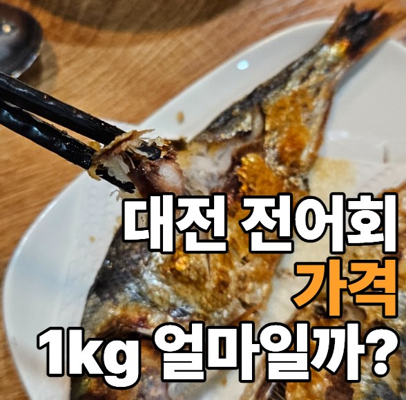 대전 전어가격 2026｜전어회 1kg 얼마? 제철·포장할 때 확인할 것