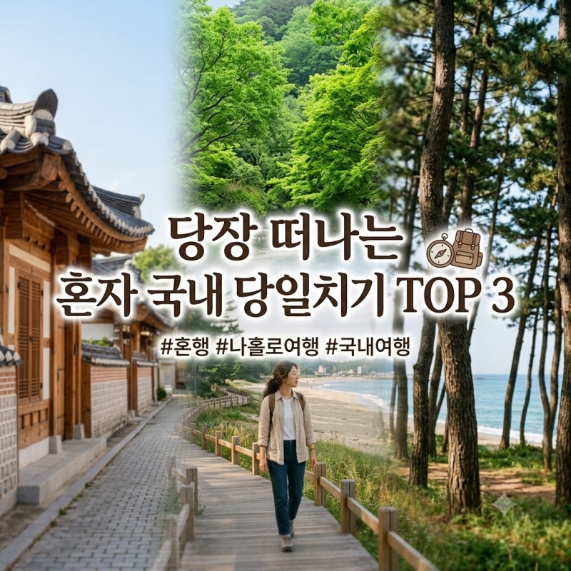 Recommended Solo Day Trips! TOP 3 Emotional Domestic Destinations Perfect for KTX Travel