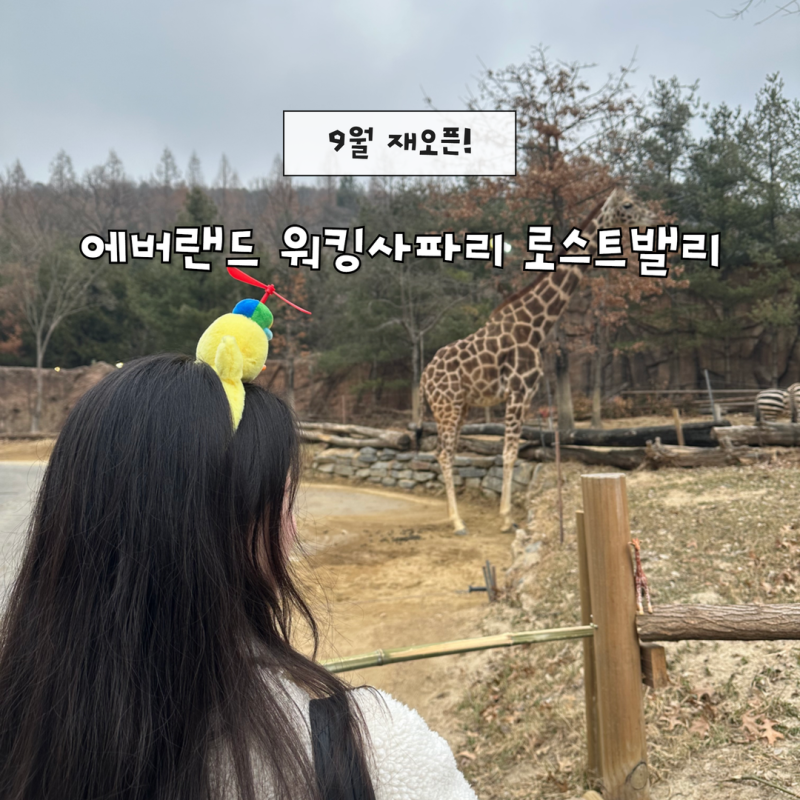 에버랜드 워킹사파리 로스트밸리 동물원 정보 입장료 할인 꿀팁