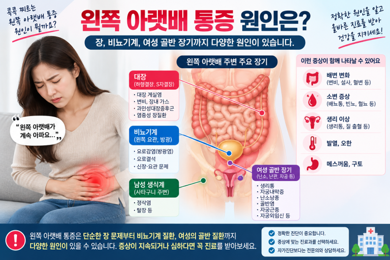 왼쪽 아랫배 통증 원인은? 남자·여자 위치별 의심 질환과 병원 가야 할 증상