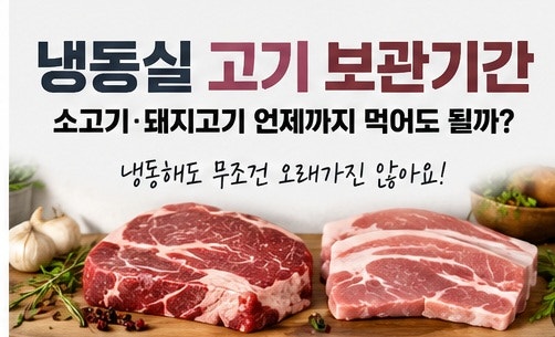 냉동실 고기 보관기간, 소고기·돼지고기 언제까지 먹어도 될까?
