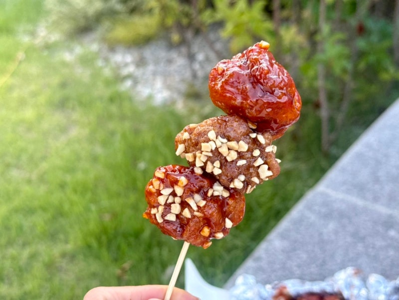 [어린이대공원역 맛집] ‘큰손닭강정’ 포장해서 주말 피크닉 후기