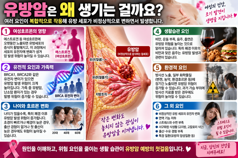가슴에 이런 멍울이 만져진다면? 놓치면 안 되는 유방암 초기증상