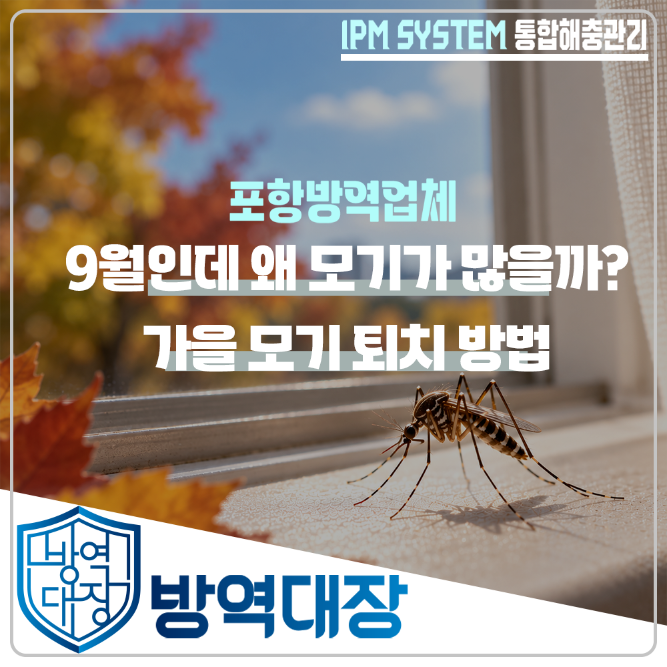 9월 모기가 많은 이유는? 가을 모기 퇴치 방법과 생활 속 예방