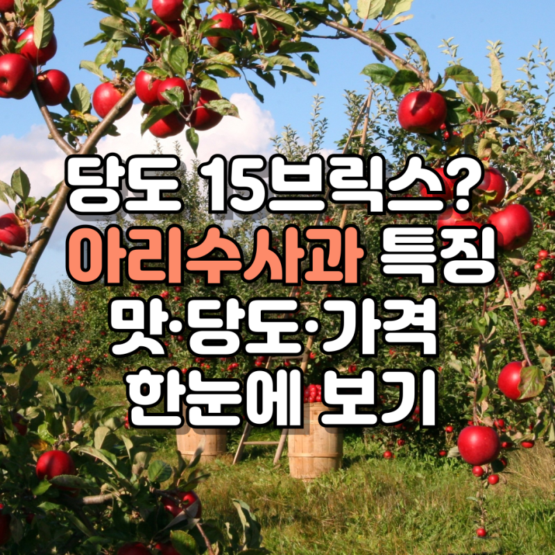 당도 15브릭스? 아리수사과 특징 수확시기 맛 가격까지 한눈에 보기