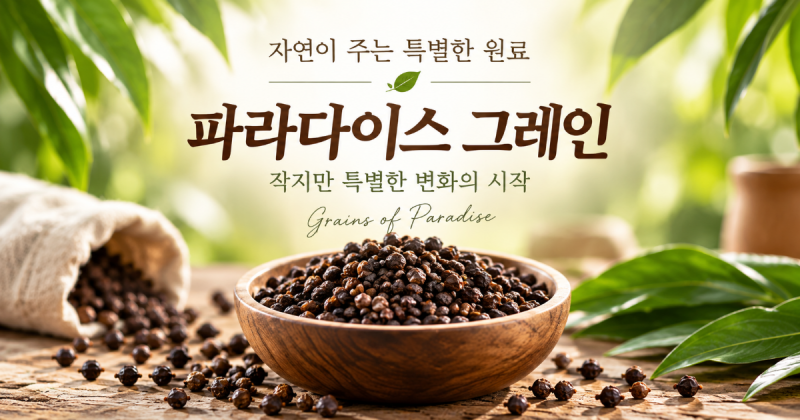 파라다이스 그레인 버닝 버닝컷 핏 차이? 후기 가격 추천 전 비교할 점