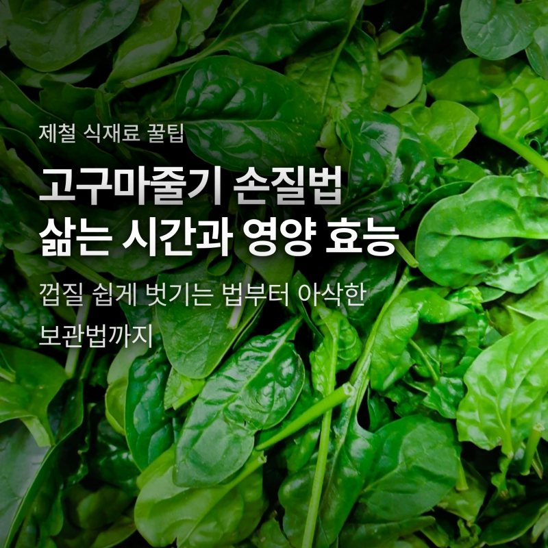 고구마줄기 껍질 쉽게 벗기는 손질법과 삶는 시간, 아삭한 보관 비결