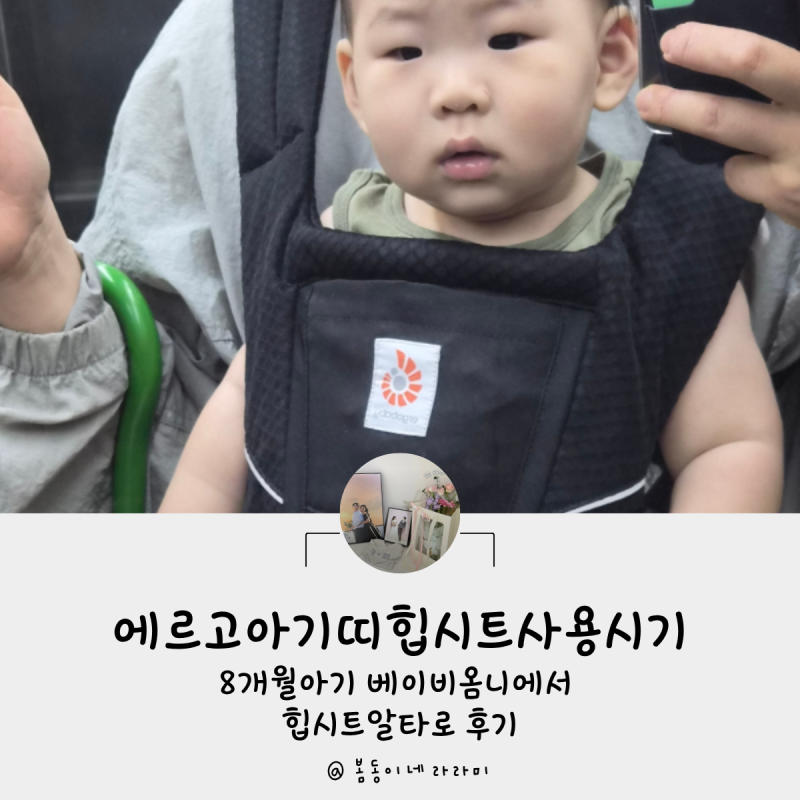 에르고아기띠힙시트사용시기 8개월아기 베이비옴니에서 힙시트알타로 후기