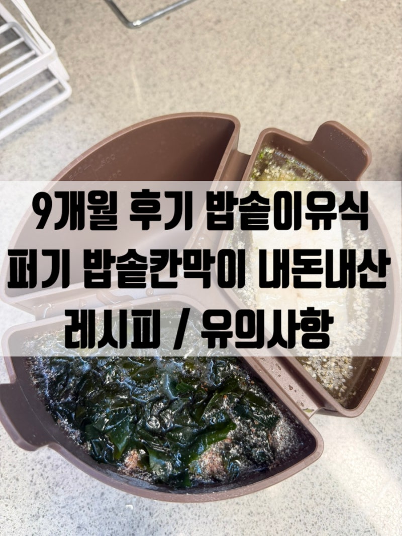 [후기이유식] 밥솥 이유식 칸막이 | 퍼기 밥솥칸막이 내돈내산 | 9개월 아기 밥솥이유식 레시....
