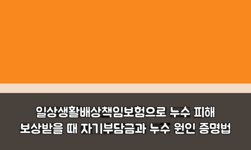 일상생활배상책임보험으로 누수 피해 보상받을 때 자기부담금과 누수 원인 증명법