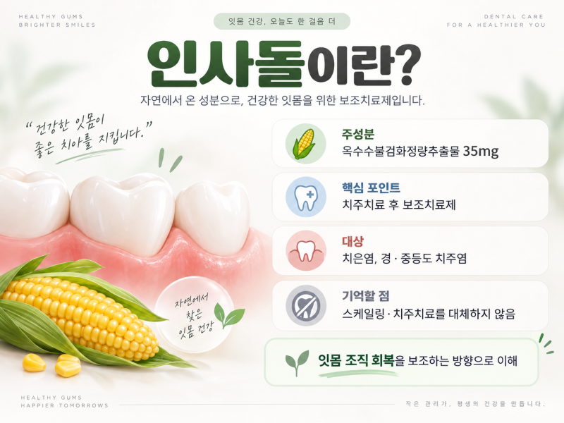 인사돌 효능은? 왜 ‘치주치료 후 보조치료’일까｜하루 3번 복용법까지