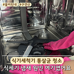 10분 만에 끝내는 LG 식기세척기 청소방법! 엘지 식세기 물비린내 난다면 통살균 필수