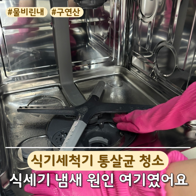 10분 만에 끝내는 LG 식기세척기 청소방법! 엘지 식세기 물비린내 난다면 통살균 필수