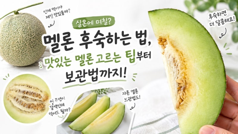 멜론 후숙하는 법, 맛있는 멜론 고르는 팁부터 보관법까지