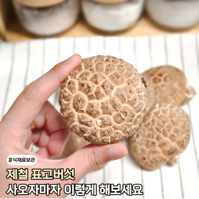 제철 표고버섯 사온날 '이것만' 해두세요. 오래 먹는 방법 2가지