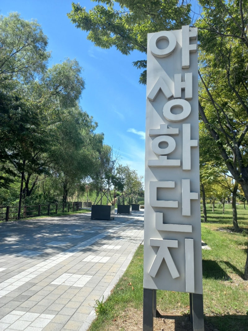 오늘 남편과 다녀온 인천 드림파크 야생화공원! 다가오는 가을 국화축제 정보까지 총정리