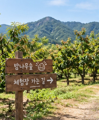 서울근교 밤따기 체험 장소 정리