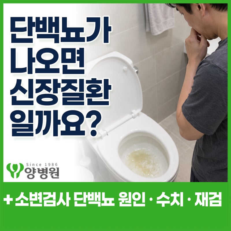 단백뇨가 나오면 신장질환일까요? 소변검사 단백뇨 원인·수치와 재검이 필요한 경우 | 강동....