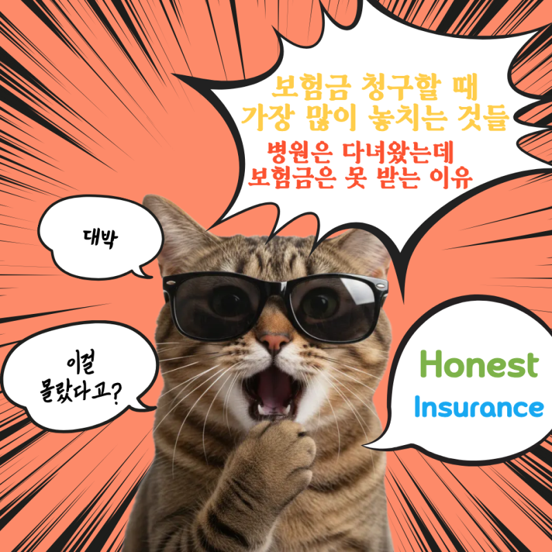 보험금 청구할 때 가장 많이 놓치는 것들, 병원은 다녀왔는데 보험금은 못 받는 이유