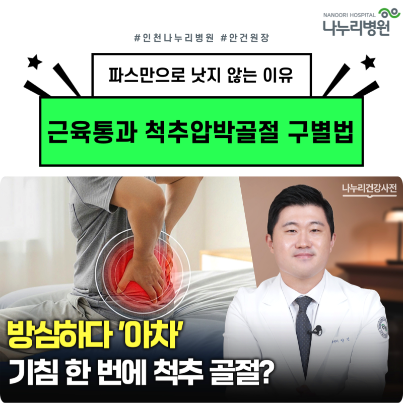 허리 아픈데 근육통일까요? 척추압박골절 증상과 근육통 구별법