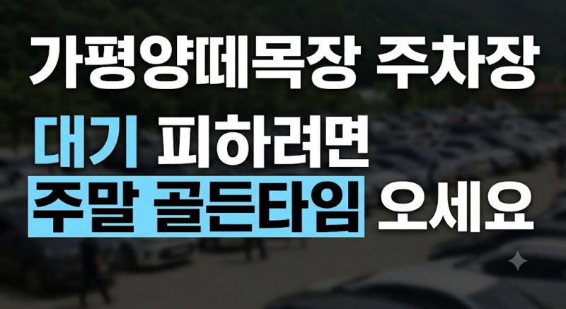 가평 양떼목장 주차장 요금 및 주말 만차 대처법 총정리 (대기 없이 진입하는 법)
