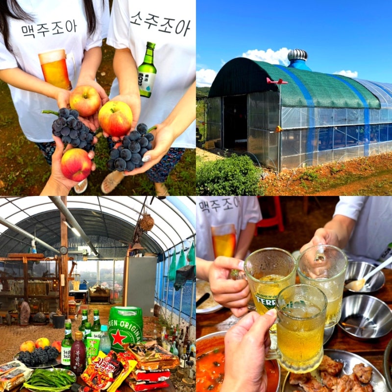 [Daebudo Pension] Gyeonggi-do Rural Stay 'Eourung': Affordable Countryside Experience with Greenhouse BBQ and Garden Activities