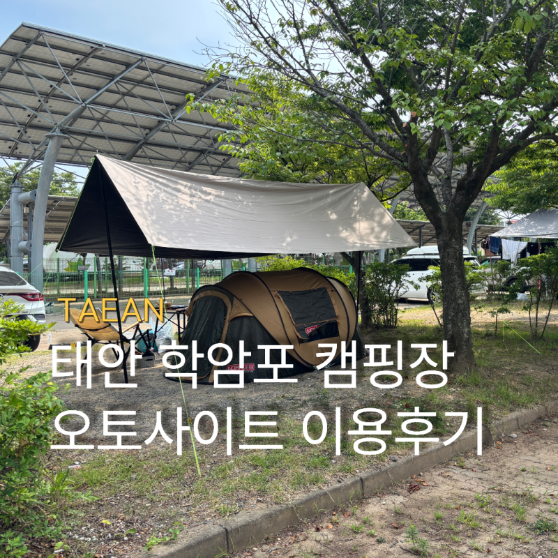 충남 태안 학암포 오토캠핑장 이용후기 예약 방법, 시설 안내, 명당 사이트 추천