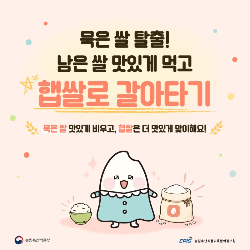 남은 쌀 어떻게 활용할까? 묵은쌀 밥 짓기부터 활용 레시피까지