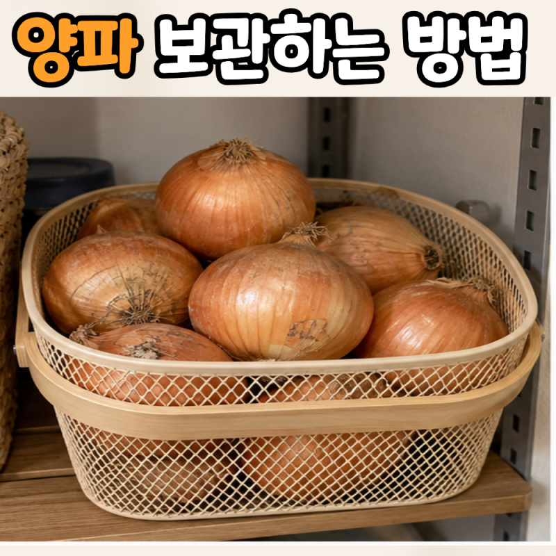 양파 보관하는 방법 실온보관부터 냉장,냉동 보관까지 정리