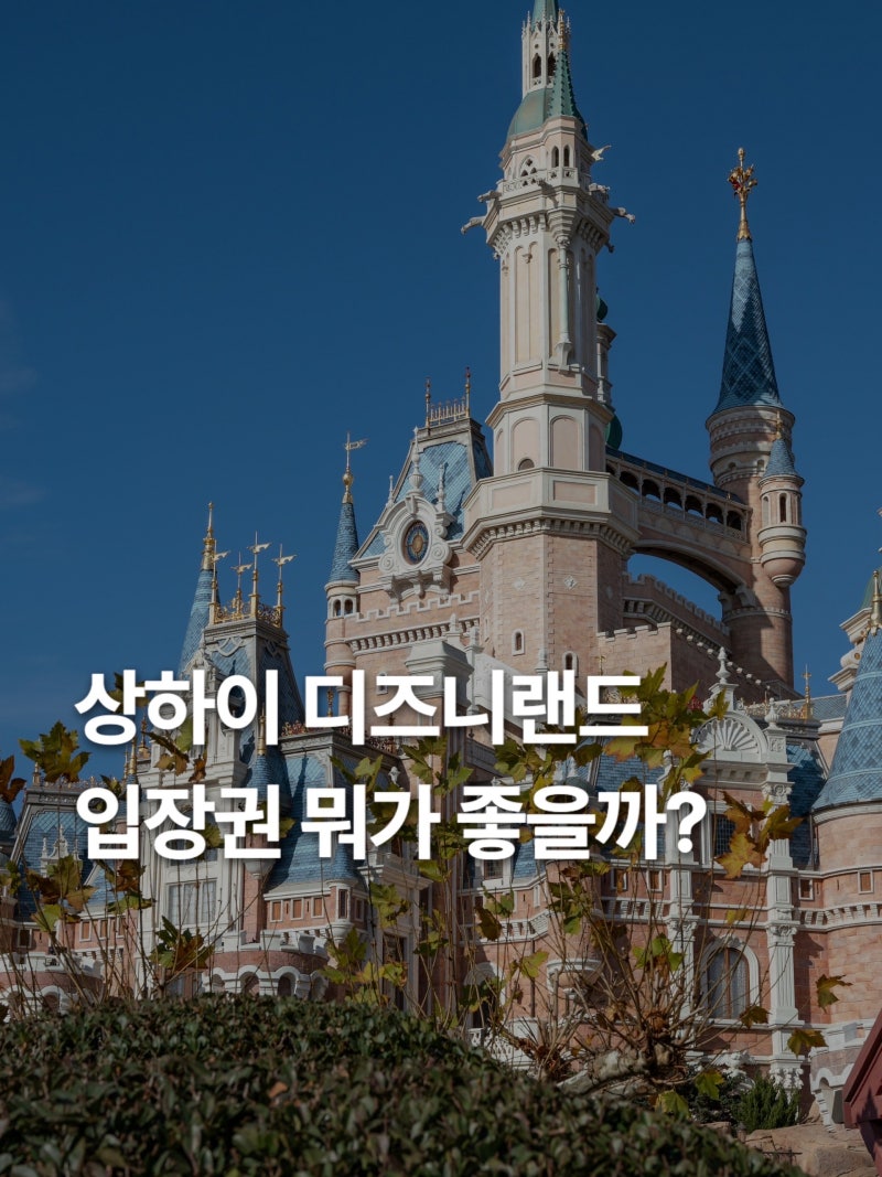 상하이 디즈니랜드 티켓 입장권 구매 방법과 가격부터 여권 등록 반입 금지 물품까지 총정리