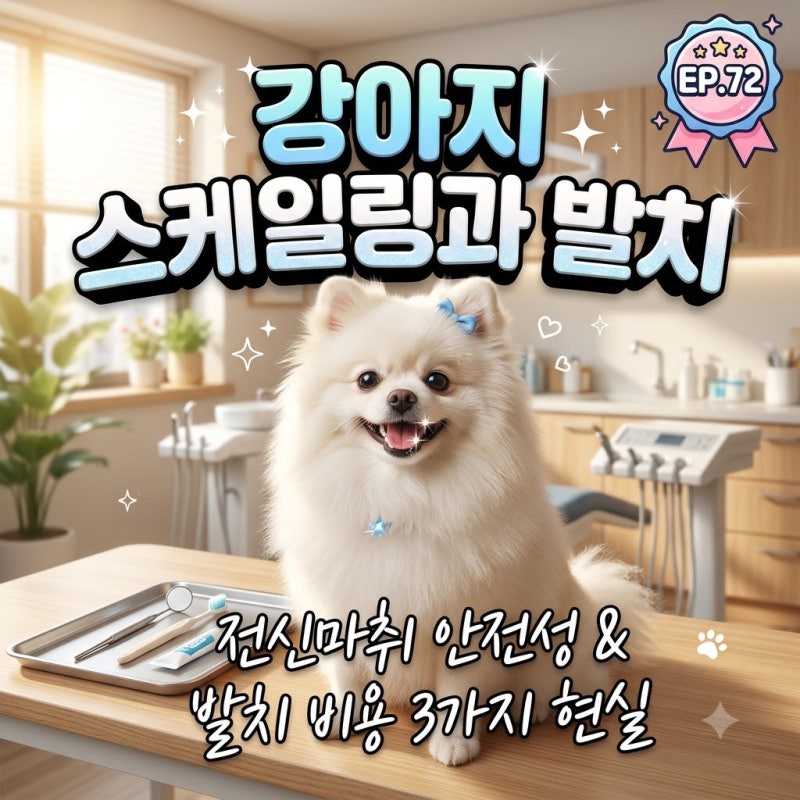 강아지 스케일링 전신마취 비용 20만부터 발치 100만까지? 치주염 방치 시 마주하는 3가지 현....