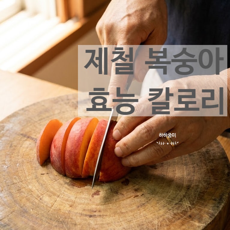 제철 복숭아 효능 칼로리와 당뇨 환자 섭취 주의점 알아보기