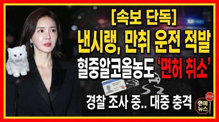[단독] “결국 터질 게 터졌나” 팝아티스트 <b>낸시랭</b>, 강남 한복판 ‘....