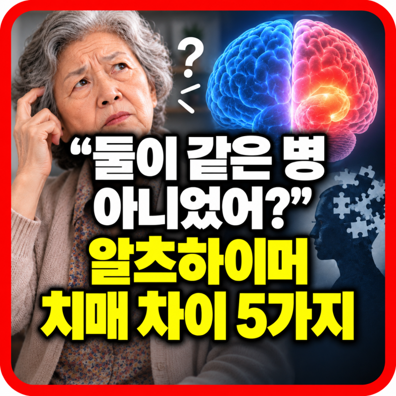 알츠하이머 치매 차이 꼭 알아야 할 5가지 “둘이 같은 병 아니었어?”