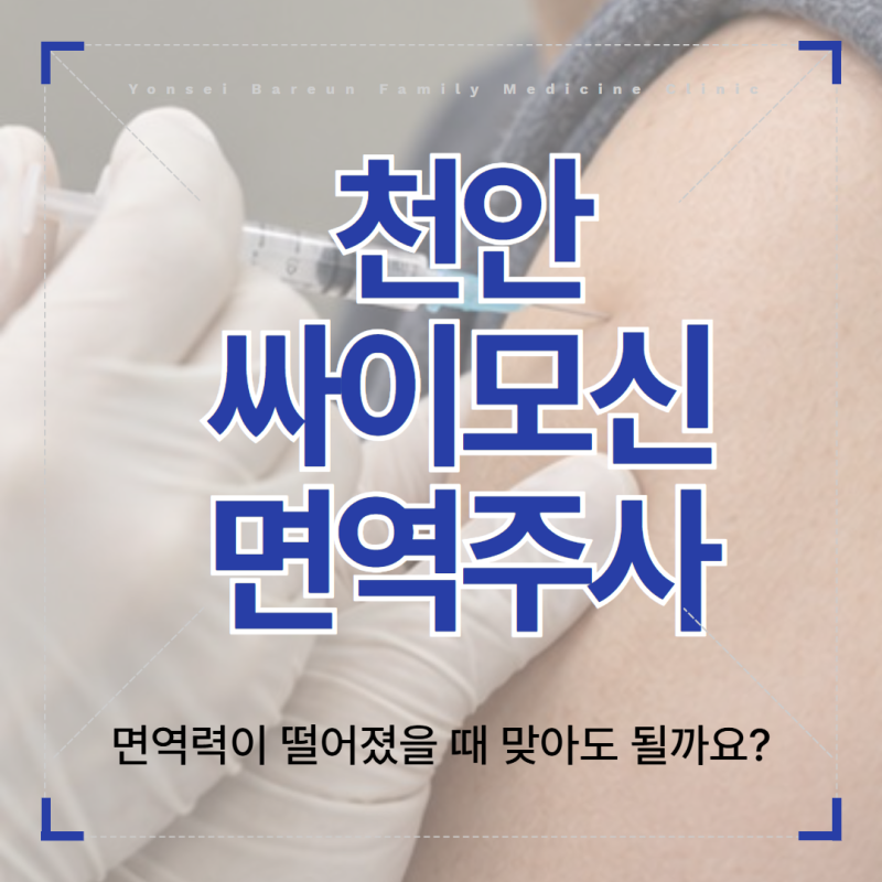 천안 싸이모신 면역주사, 허가 대상과 투여 횟수 알아보기