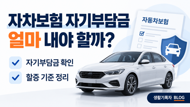 자차보험 자기부담금 얼마일까?｜보험처리 할증 기준까지 정리