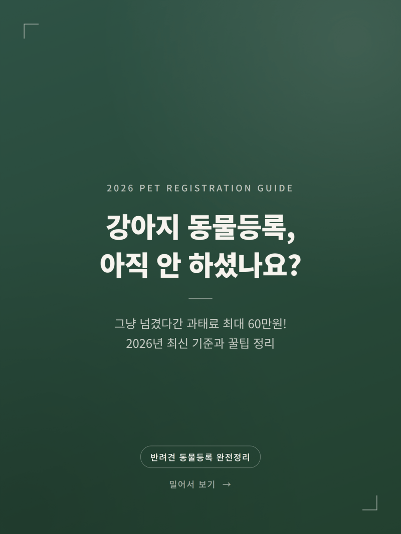 2026 반려견 동물등록 절차와 미등록 과태료 완벽 가이드 (+비용 서류)