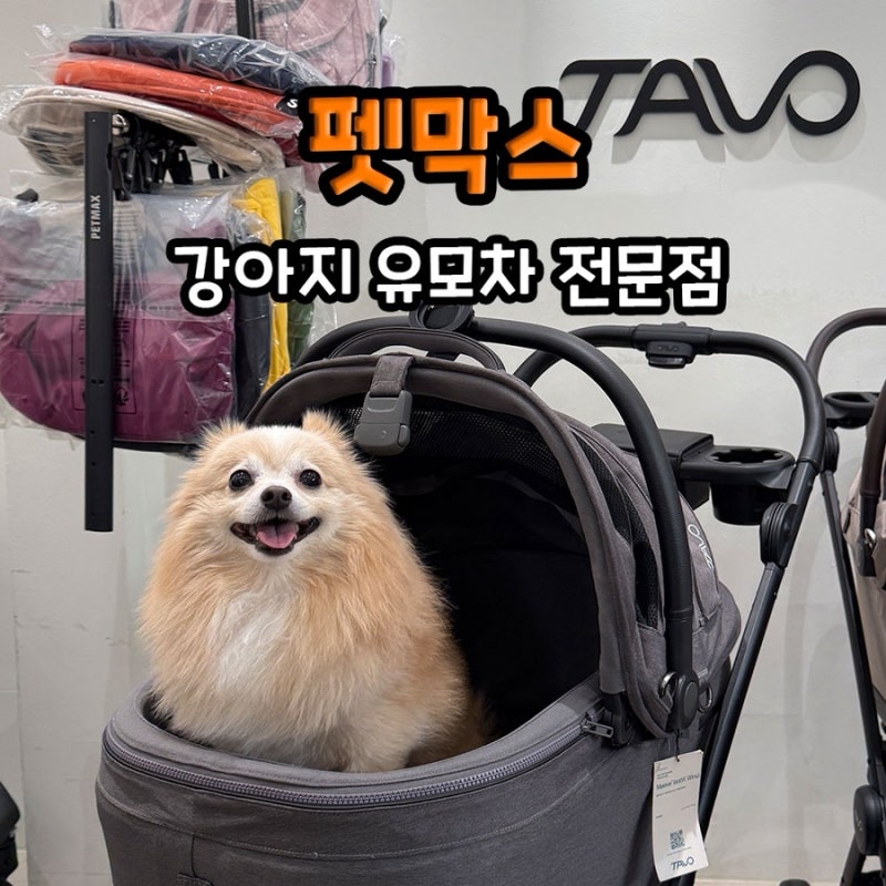용인 펫막스 강아지유모차 전문점 | 타보펫츠 윈드 6X 시승 후기