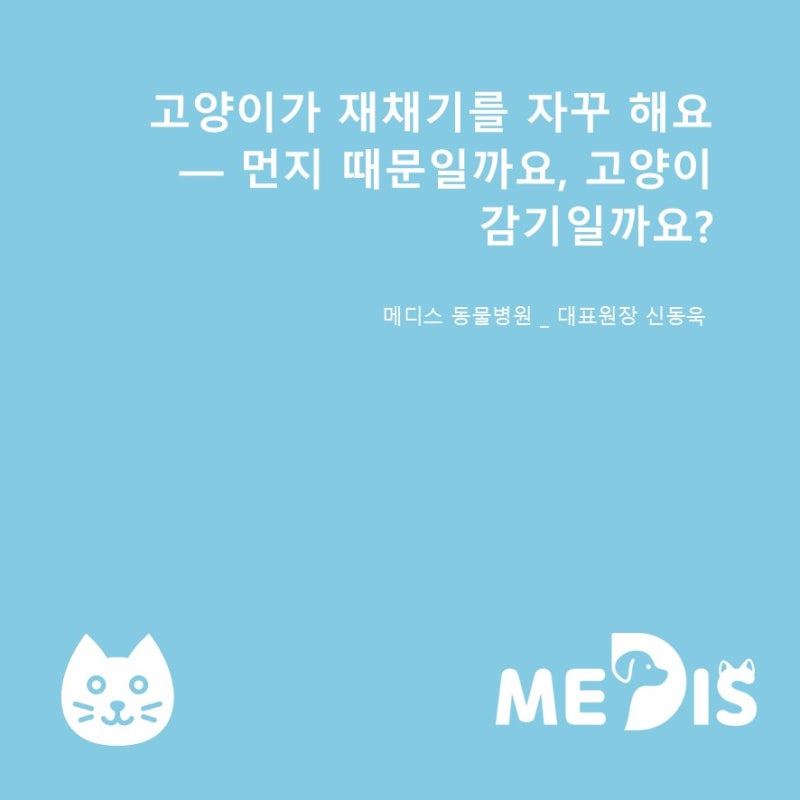 [수의사의 진료실 노트 #0103]고양이가 재채기를 자꾸 해요 — 먼지 때문일까요, 고양이 감기....