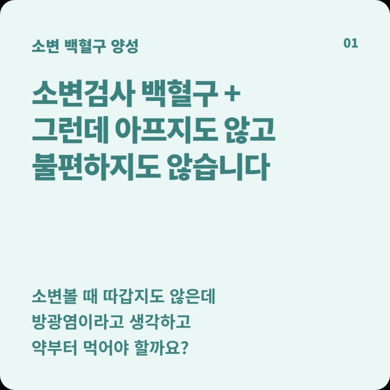소변검사 백혈구 양성인데 아무 증상이 없어요, 방광염 약부터 먹어야 할까?