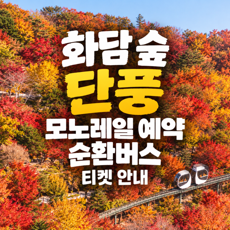 2026 화담숲 단풍 모노레일 예약 방법 및 순환버스 정보 총정리