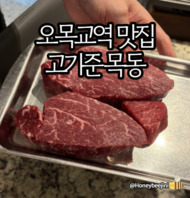 오목교역 맛집) 고기준 목동 솔직후기 - 투뿔 한우 (가격 / 주차 / 콜키지무료)