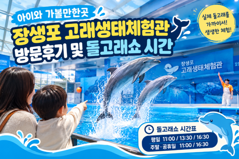아이와 가볼만한곳: 장생포 고래생태체험관 방문후기 및 돌고래쇼 시간